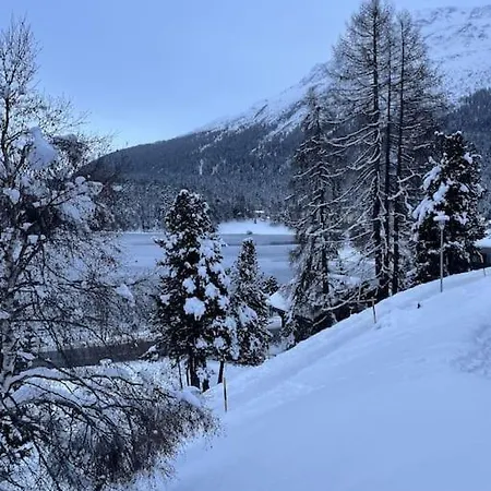 Im Herzen Von Mit Pool Und Tg Apartment St. Moritz